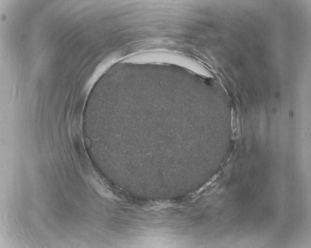 X0000060260099200511112031