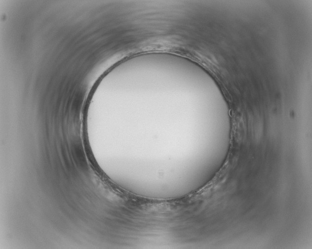 X0000060260100200511112031