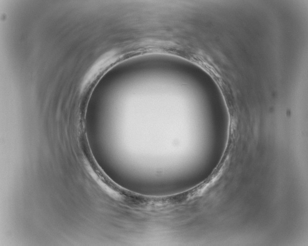 X0000060260101200511112031