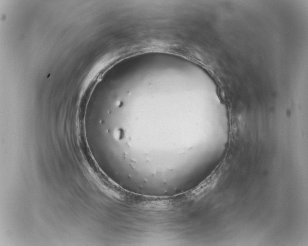 X0000060260102200511112031