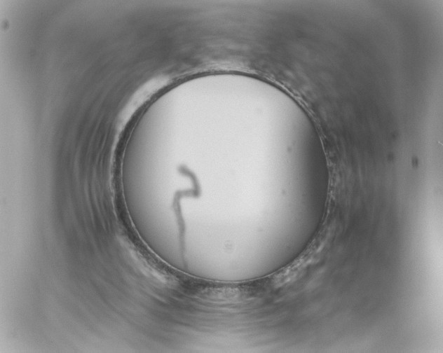 X0000060260104200511112031