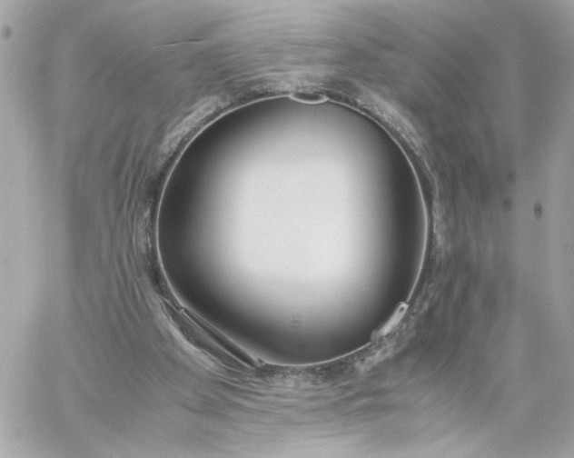 X0000060260105200511112031