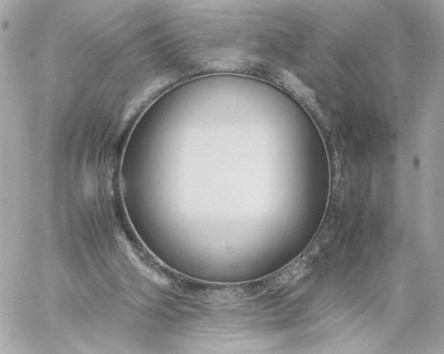 X0000060260106200511112031