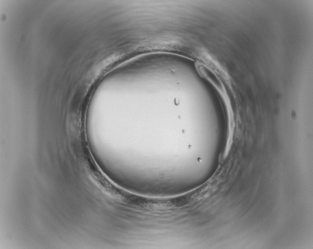 X0000060260107200511112031