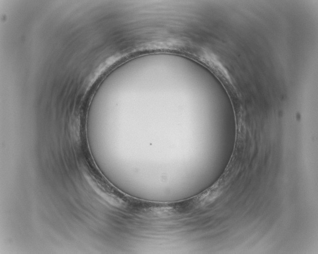 X0000060260108200511112031