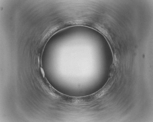 X0000060260109200511112031