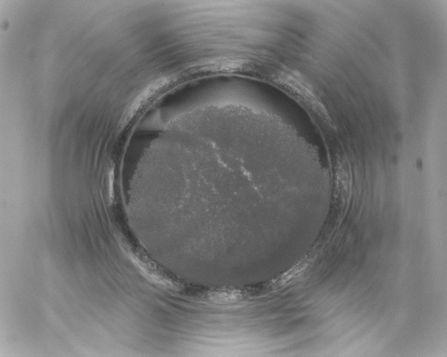 X0000060260110200511112031