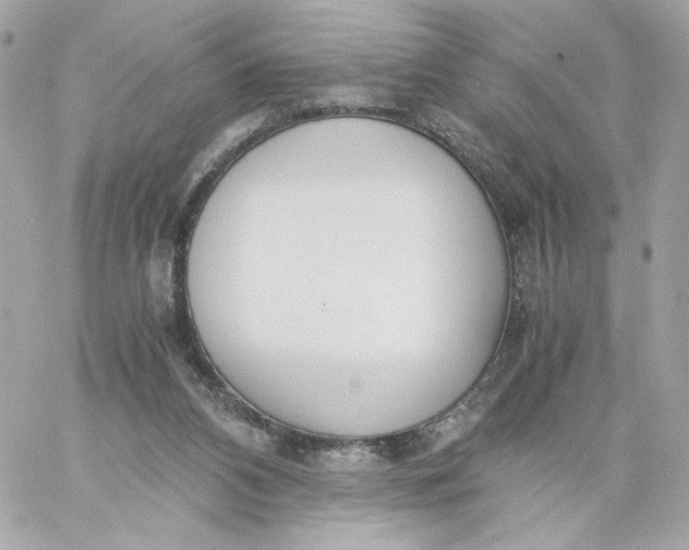 X0000060260112200511112031