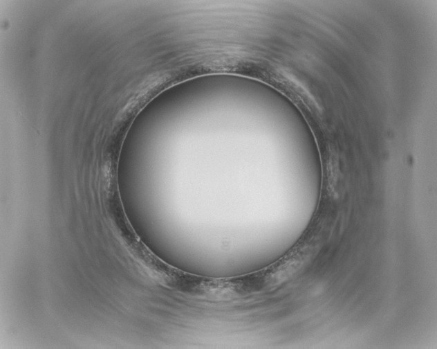 X0000060260113200511112031