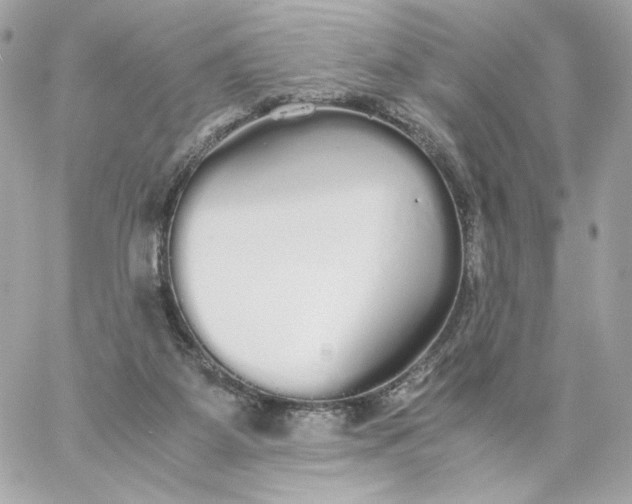 X0000060260115200511112031