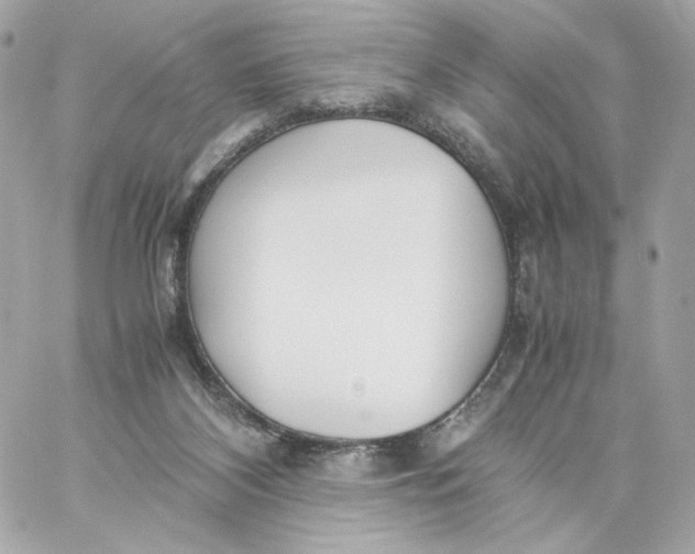 X0000060260116200511112031