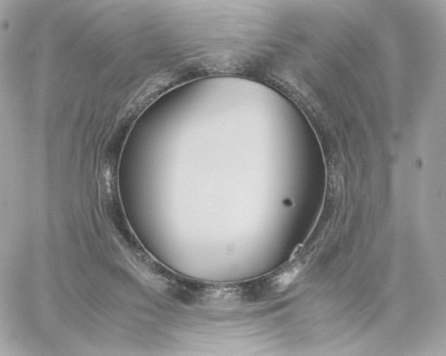 X0000060260117200511112031