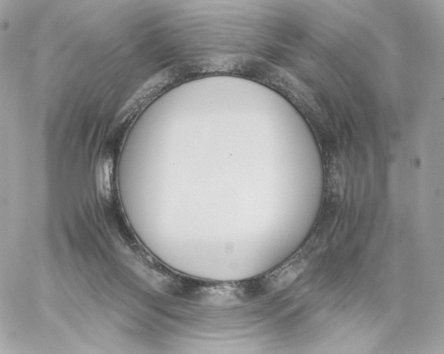 X0000060260118200511112031