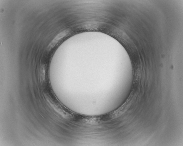 X0000060260120200511112031