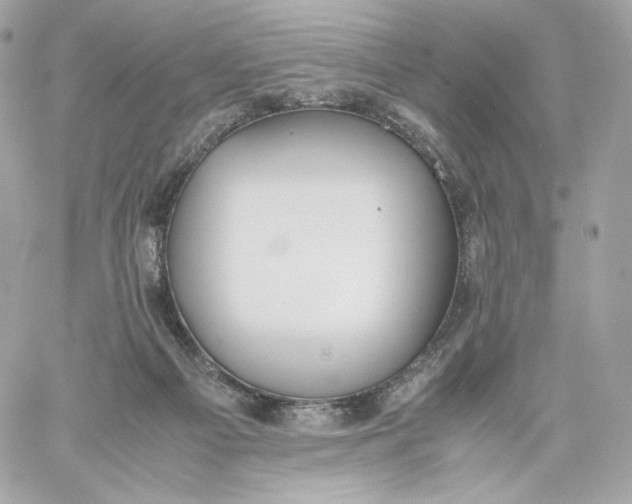 X0000060260121200511112031