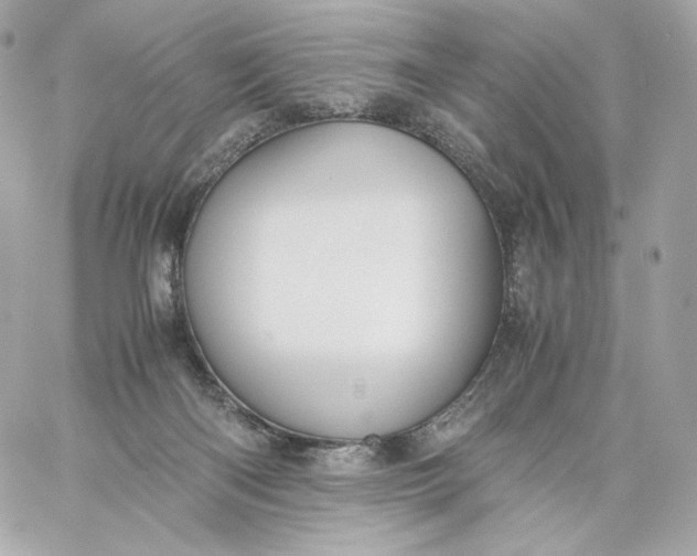 X0000060260122200511112031