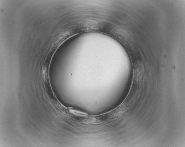 X0000060260123200511112031