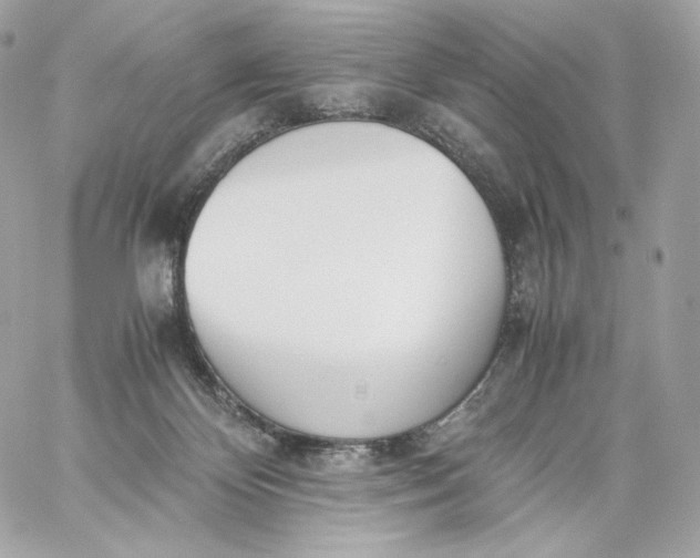 X0000060260124200511112031