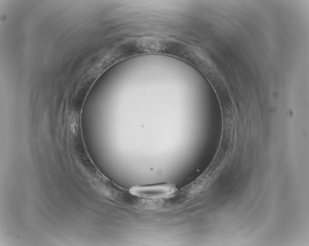 X0000060260125200511112031