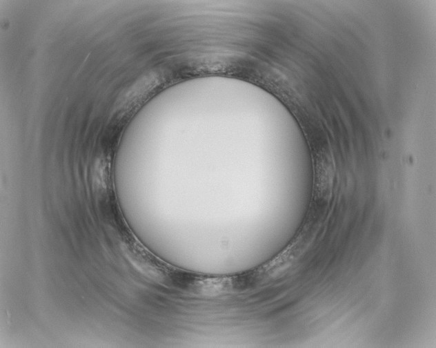 X0000060260126200511112031