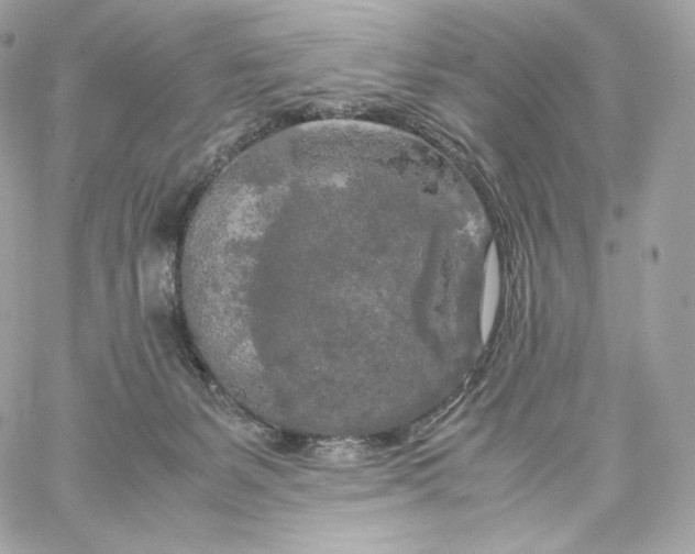 X0000060260127200511112031