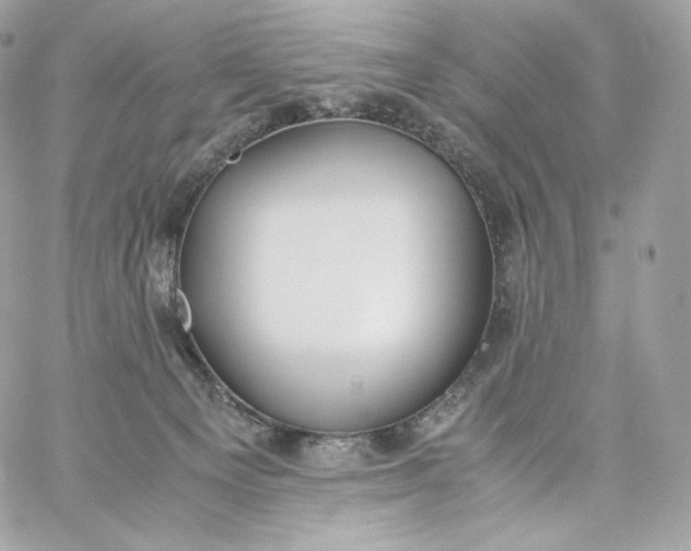 X0000060260129200511112031