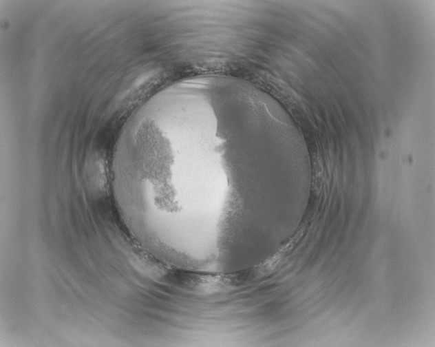 X0000060260130200511112031