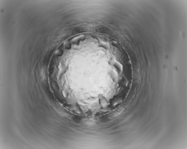 X0000060260131200511112031