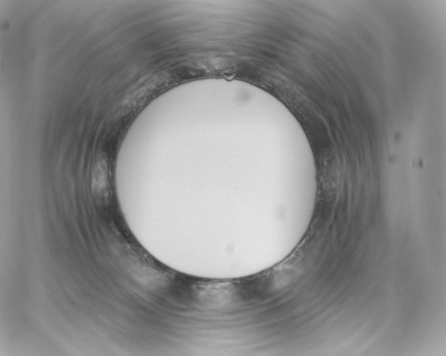 X0000060260132200511112031