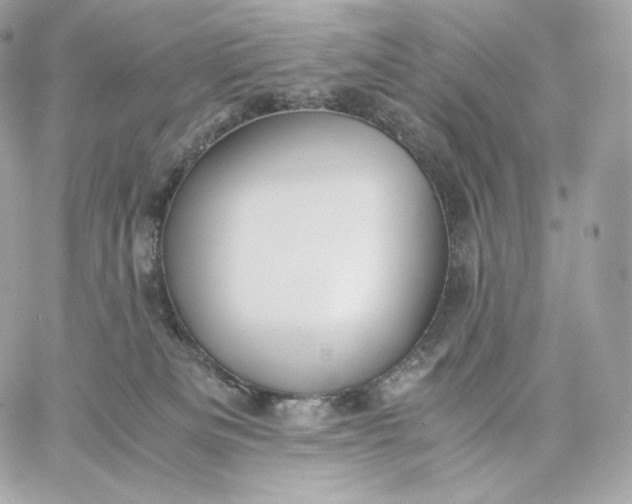 X0000060260133200511112031