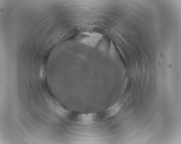 X0000060260134200511112031