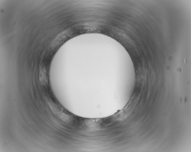 X0000060260136200511112031