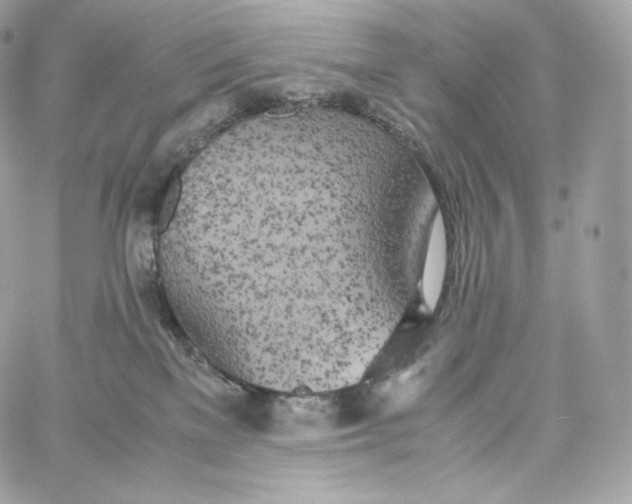 X0000060260137200511112031