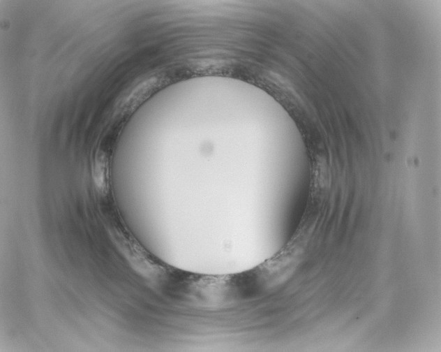 X0000060260138200511112031