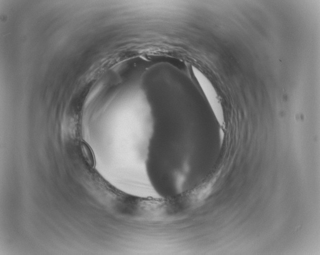 X0000060260139200511112031