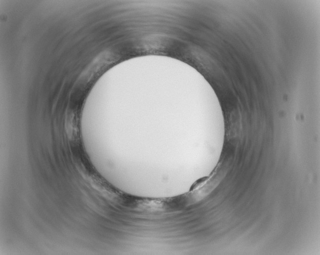 X0000060260140200511112031