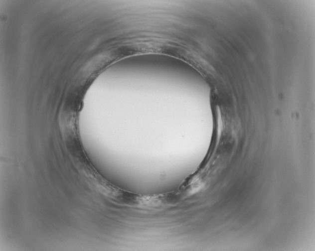 X0000060260141200511112031