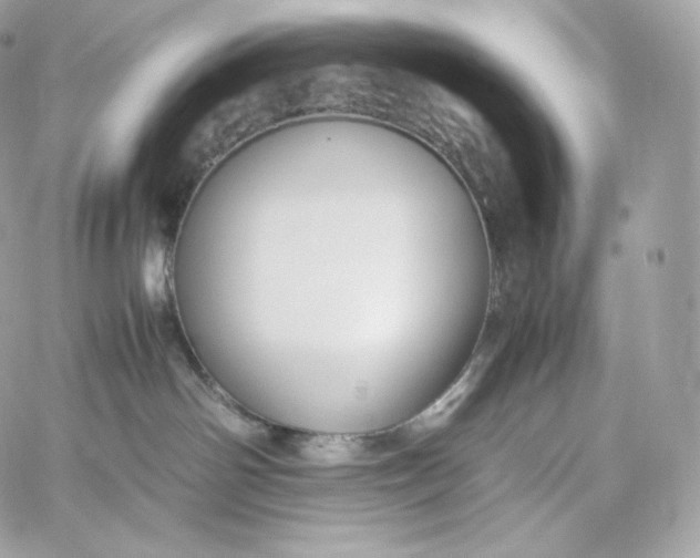 X0000060260142200511112031