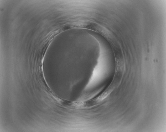 X0000060260143200511112031