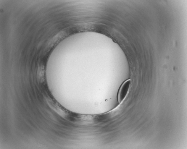 X0000060260144200511112031