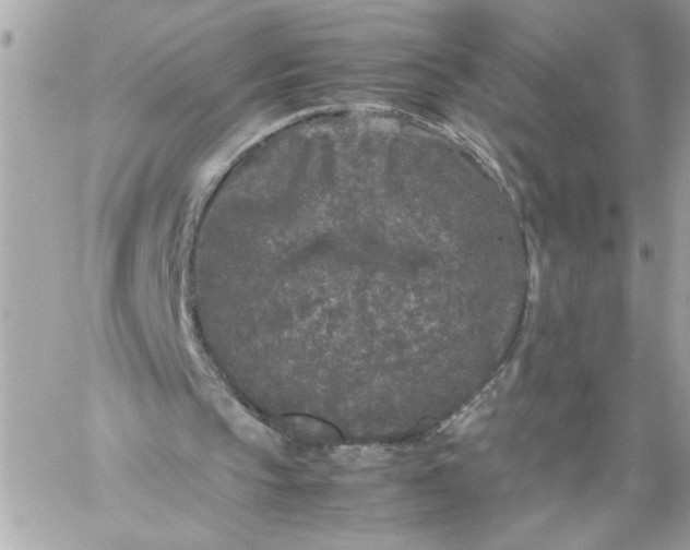 X0000060260145200511112030