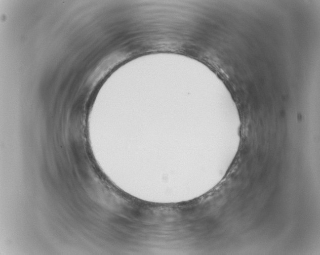 X0000060260146200511112030