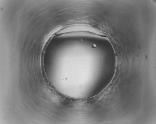 X0000060260148200511112030