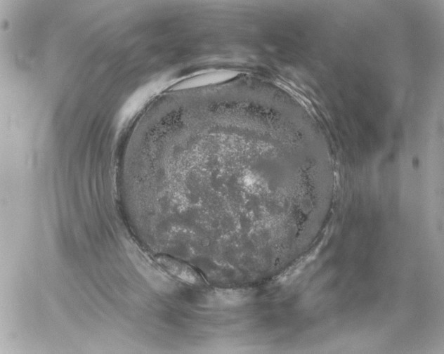 X0000060260149200511112030