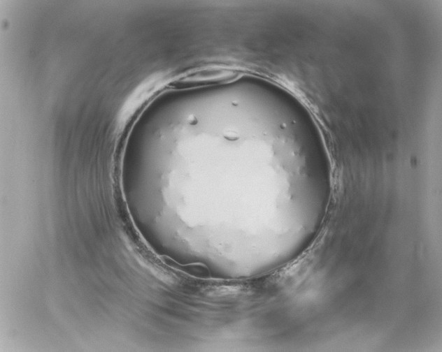 X0000060260151200511112030