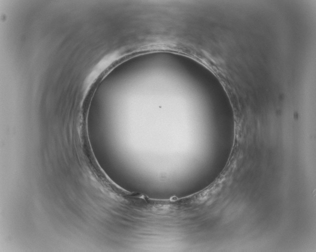 X0000060260152200511112030