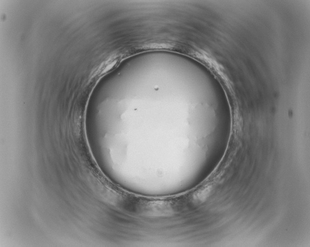 X0000060260153200511112030