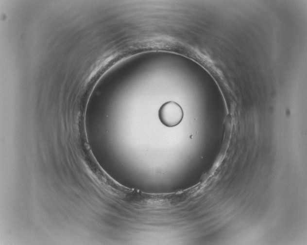 X0000060260154200511112030