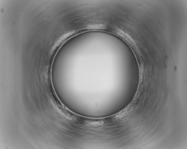 X0000060260155200511112030