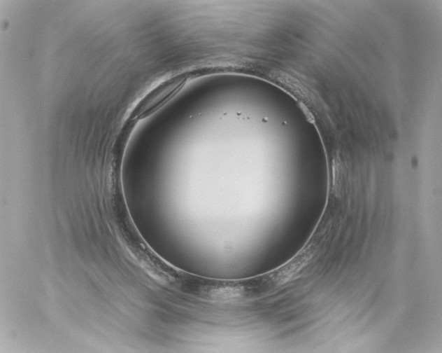 X0000060260156200511112030